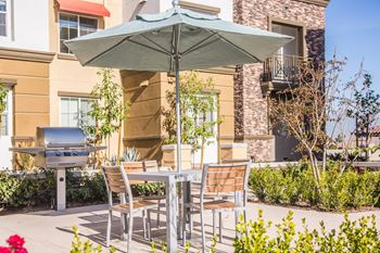 Picnic area and bbq grill